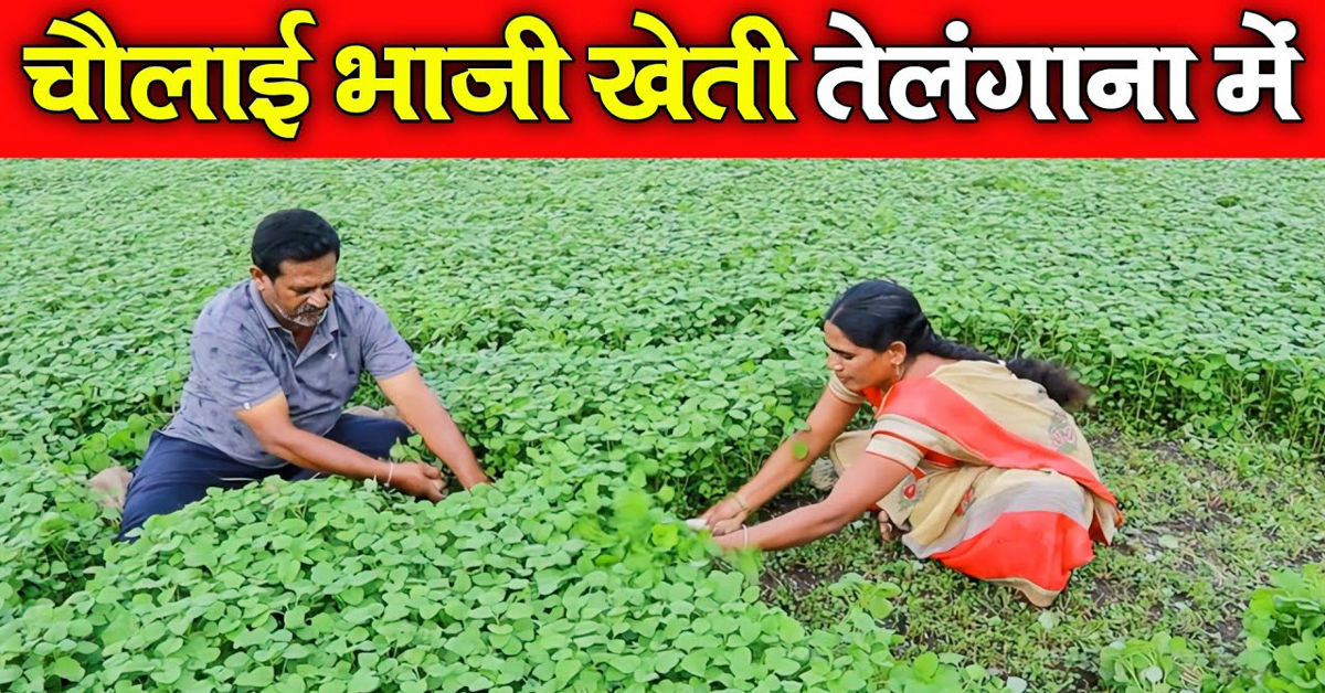 vO8o8-Xz-HA-HD_imresizer