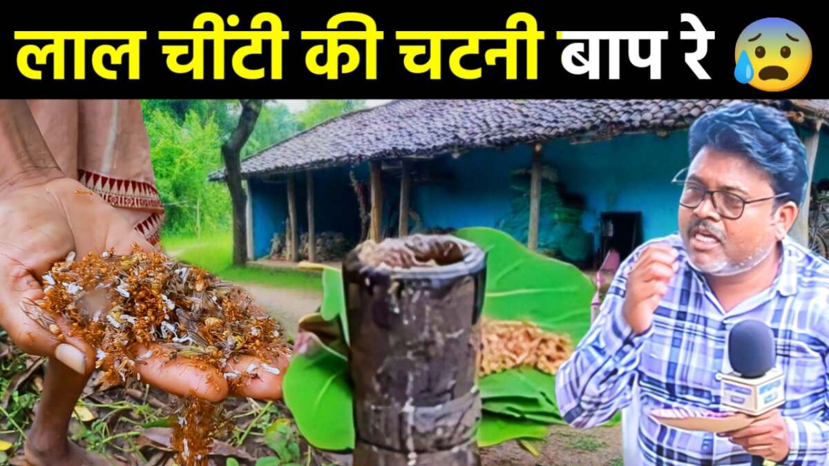 बस्तर की लाल चींटी की चटनी | Chapda Chutney Recipe | Red Ant Chutney Bastar Special