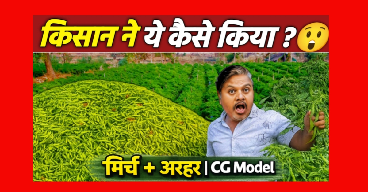 🌶️ मिर्ची की खेती से 1 एकड़ में 7–8 लाख का मुनाफा | Ginni 26 मिर्च की पूरी जानकारी (Field Visit)