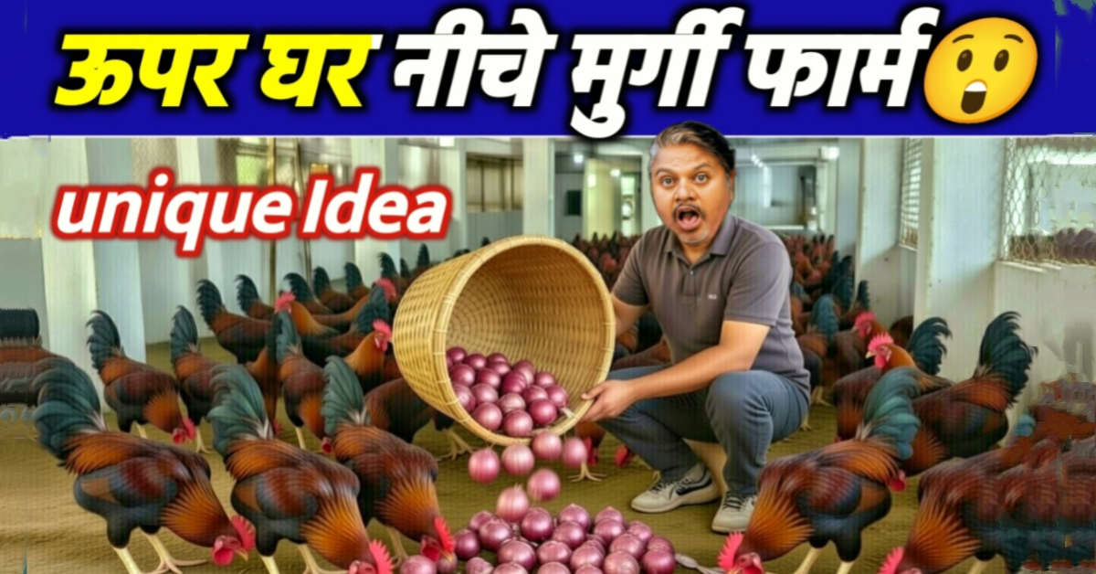 ऊपर शानदार घर और नीचे देसी मुर्गी पालन: सिवनी के किसान का अनोखा मॉडल