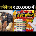 पोल्ट्री फार्मिंग,कम लागत में शुरू करें 