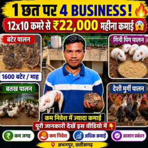 WhatsApp Image 2026-06-24 at 8.02.03 PM