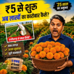 गेंदा फूल की खेती से कैसे बनाएं एक सफल बिजनेस?