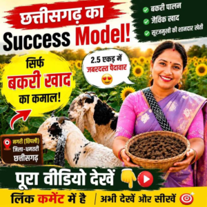 WhatsApp Image 2026-06-29 at 5.28.17 PM